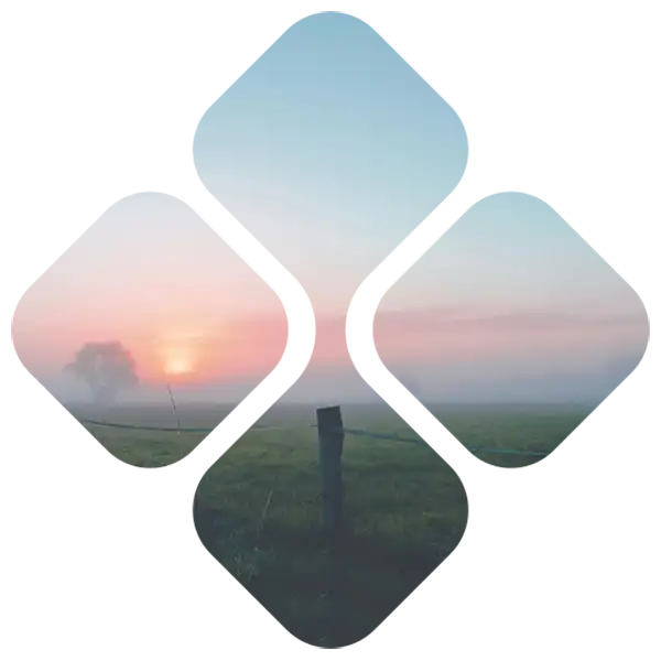 Conflictbegeleiding Landschap met mist